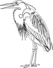 Wall Mural - elegant black and white line drawing of a heron bird or egret with long legs standing on one foot in