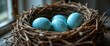 © cabado - Huevos azules moteados en nido de ramitas sobre superficie rústica de madera. Decoración primaveral, orgánico, naturaleza, banner de primavera, festivo, colorido, temporada, celebración de pascua.