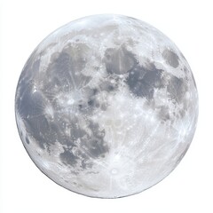 Wall Mural - full moon image, clear view