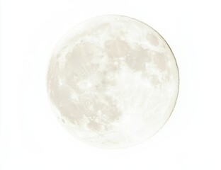 Wall Mural - full moon, light gray tone, isolated