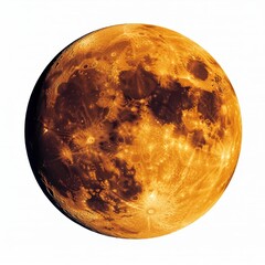Wall Mural - full orange moon, detailed surface (1)