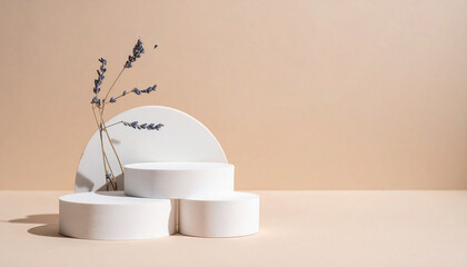 Wall Mural - 3d round podium set background with light and shadow. abstract geometric composition in minimalist d