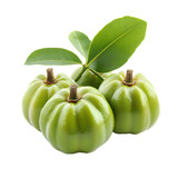 Fresh garcinia atroviridis fruit isolated on transparent background