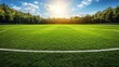 © NENI - Empty soccer field bathed in sunlight Lush green grass, marked with white lines