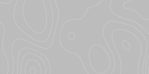 Poster - Abstract background with topographic map gray background. The stylized height of the topographic map contour in white  lines. gradient multicolor wave curve lines banner background design.