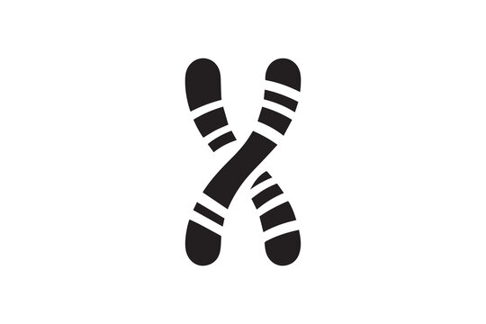 simple and unobtrusive Chromosome vector silhouette illustration isolated in white background