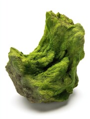 Poster - Mossy rock formation against a white background showcasing nature's detail and texture for ecological studies and artistic representation of natural elements