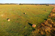 © Aimur - Panoramic view of pastoral farmland with hay bales scattered across a harvested meadow. Agricultural landscape showing symmetrical pattern of round bales with long shadows in warm afternoon light