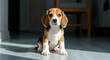 © 3D Animation - Adorable Beagle puppy sits attentively on a sunlit floor indoors. This cute, small dog looks directly at the camera with a curious and endearing expression.