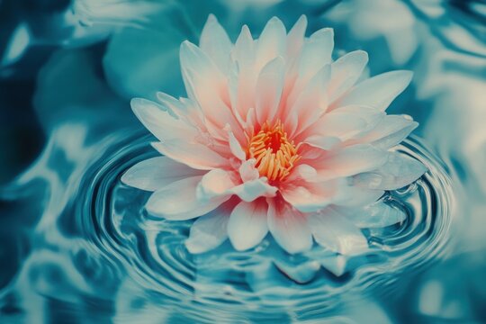 Splashing fog blooms, radiant ripple to the background