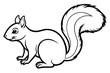 © MSTSALMA - Squirrel vector illustration line art and white background
