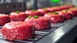 © izzuddin - Freshly prepared ground beef patties lined up on a production line in a modern kitchen