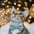 © Guruji - Feline Christmas Delight