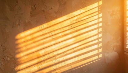 Poster - Natural light play indoor room photography warm tones close-up shadow and light contrast