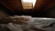 © Khai - Bed with Beige Sheet Under Wooden Ceiling with Skylight