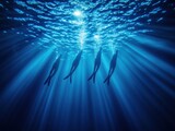 Sunbeams illuminate deep ocean silhouettes