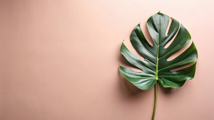 Aufkleber - Single tropical leaf on a pale pink background with ample copy space