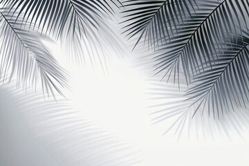 Poster - Elegant Palm Leaf Shadows