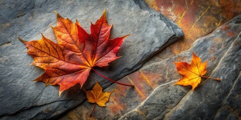 Aufkleber - Autumnal Leaves Resting on Stone Surface A Still Life Composition