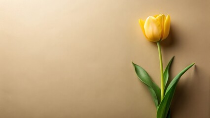 Poster - Single yellow tulip on a muted gold background, elegant floral still life composition perfect for springtime greeting cards or invitations, showcasing nature's simple beauty.
