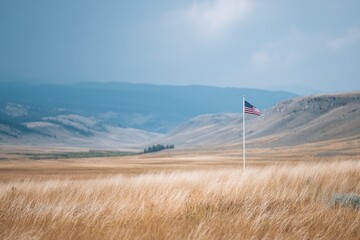 Poster - lone american flag stands solemnly in wide-open field