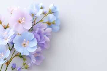 Poster - minimalistic composition of soft pastel flowers isolated on clean white backdrop