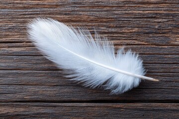 Poster - empty white feather on dark rough wooden surface highlighting contrast between softness and hardness