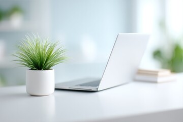 Poster - uncluttered home office desk with laptop and potted plant exemplifying modern remote working setups