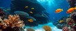© RobinsonIcious - Sunlit coral formations teeming with neon fish beneath crystal clear warm tropical ocean waves