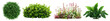 © Rawpixel.com - PNG Lush diverse garden plants, element set on transparent background