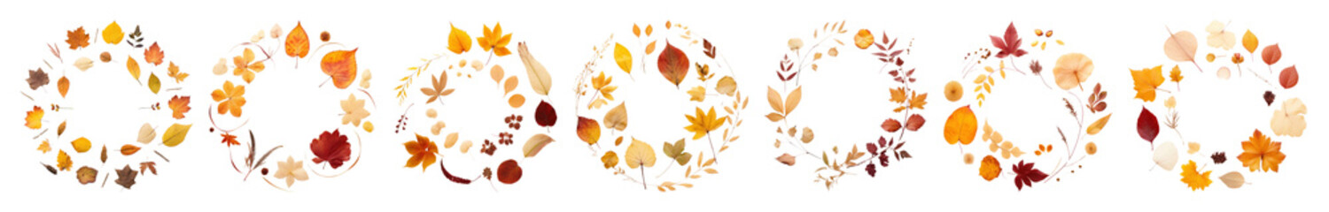 Wall Mural - png autumn wreaths with vibrant leaves, element set on transparent background