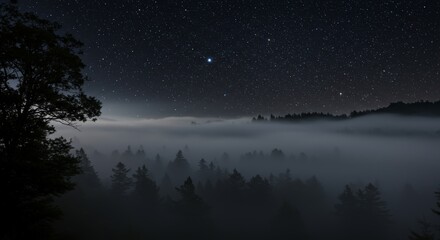Wall Mural - night landscape with fog rolling over the forest under a starry sky creating a mystical and tranquil