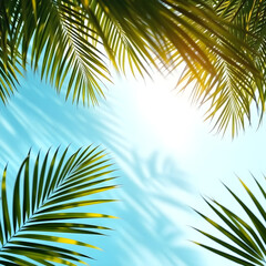 Canvas Print - palm tree