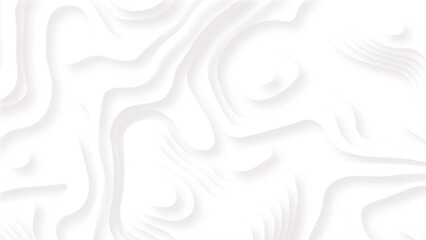 Poster - abstract white paper cut background with lines. white wave paper curved reliefs abstract background.