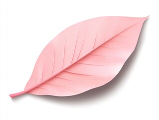 Wall Mural - A single, pastel pink leaf, detailed veins, floats against white background