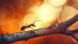 © Asree - Close-up macro shot of an ant on a tree branch, with a beautiful sunset in the background. Soft bokeh effect highlighting the warm, golden hues of the sunset, creating a peaceful, natural atmosphere.