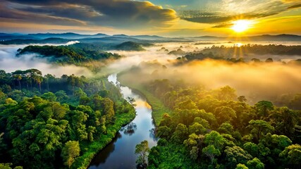 Poster - Sunrise Over a Lush Green Tropical Rainforest with Winding River and Fog