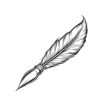Quill pen writing vector icon, hand-drawn on a simple white background.