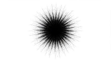 Poster - A black radial burst pattern on a white background with fine lines emanating from a central point