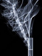 Poster - X-ray Scan Animation Illustrating the Harmful Effects of Smoking on Respiratory Health and Lung Function in a Clean Technical Layout