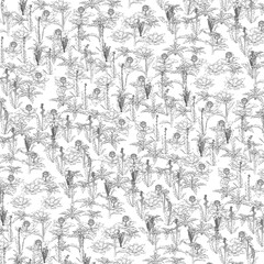 Poster - A black and white image of a field of flowers. The flowers are scattered throughout the image, with some in the foreground and others in the background