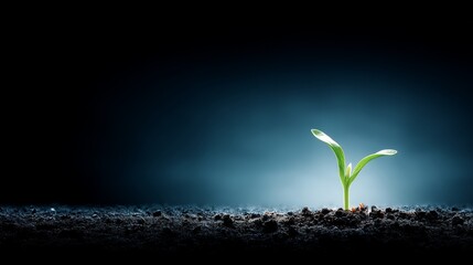 Aufkleber - A vibrant green shoot emerges from the dark earth, symbolizing growth and resilience in a tranquil setting. Soft illumination highlights its freshness and vitality