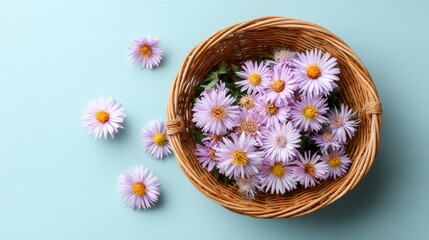 Poster - A stunning arrangement of lavender daisies in a woven basket creates a festive atmosphere, highlighted by a calming mint green backdrop, perfect for celebrations