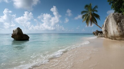 Poster - Turquoise waves gently lap against smooth boulders in a serene cove, while a lone coconut palm leans over the sandy shoreline under a clear sky