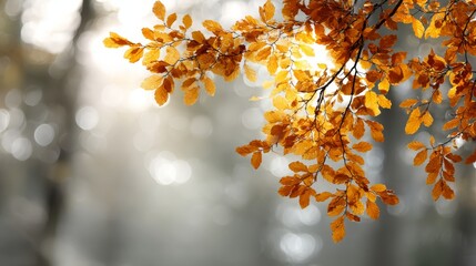 Poster - Colorful orange and brown foliage hangs gracefully, illuminated by soft, blurred lights, perfect for an autumn-themed promotional banner with copy space