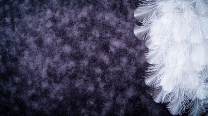 Poster - Soft feather displayed on a deep black background highlighting the fine details of its structure