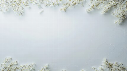 Poster - Beautiful white flowers arranged elegantly on a white background creating a pure and serene aesthetic
