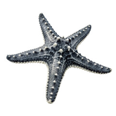 watercolor black and white star isolated on transparent background