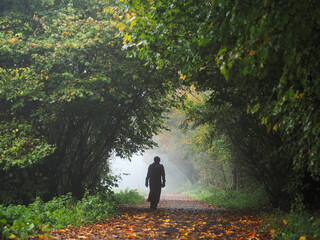 Wall Mural - fallen leaves on a walking path in a forest park and silhouette of a person on white mist in the bac