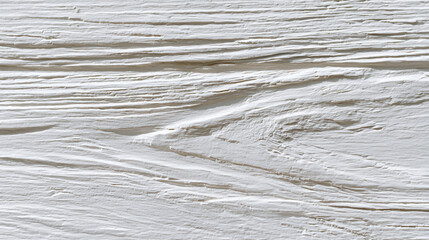 Poster - White wood texture background for interior design and decoration material surface pattern and grain detail